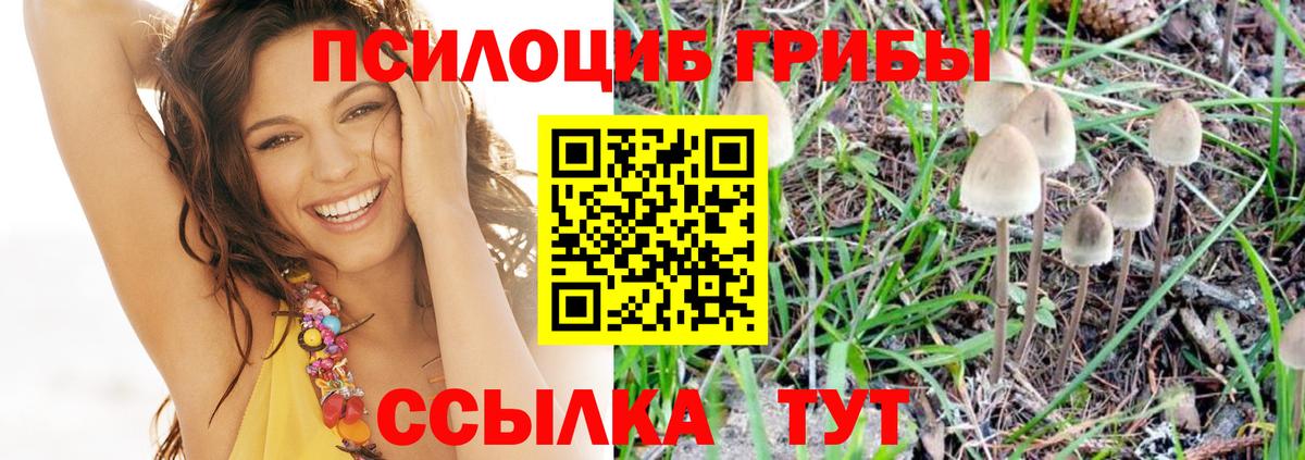 Псилоцибиновые грибы MAGIC MUSHROOMS  Галлюциногенные грибы MAGIC MUSHROOMS  Вход с VPN  Южно-Сахалинск 