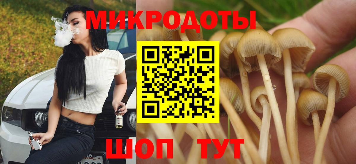 Псилоцибиновые грибы Psilocybe Южно-Сахалинск